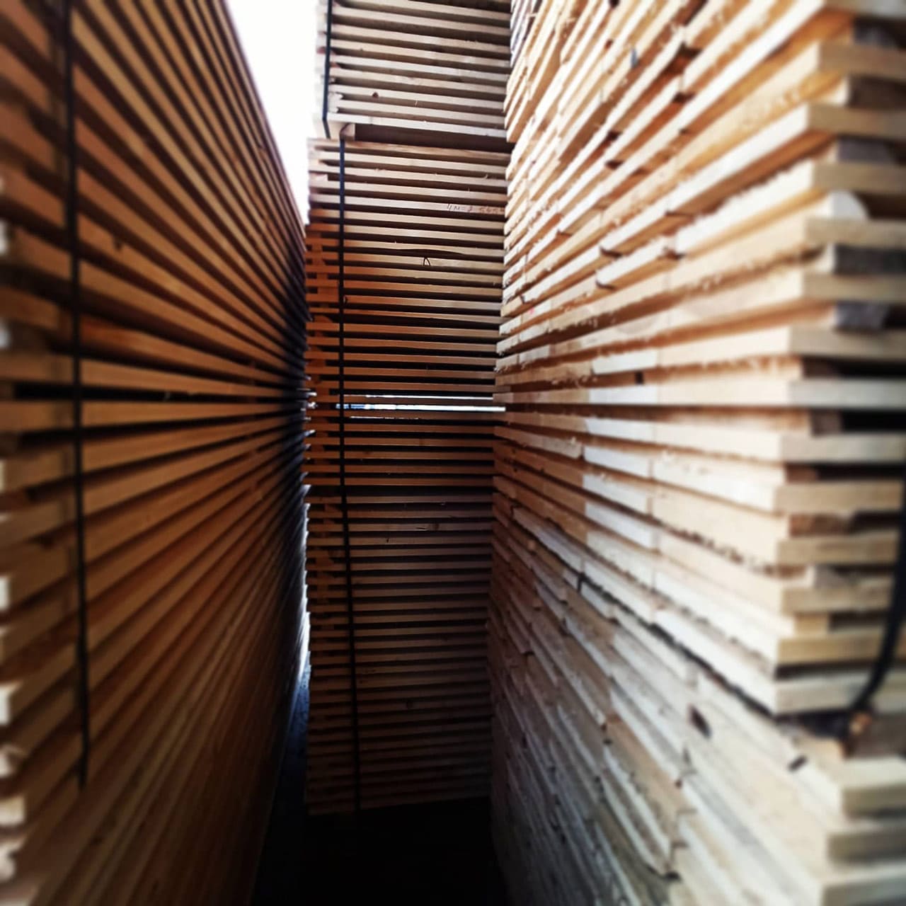 travi e tavole ideale legno